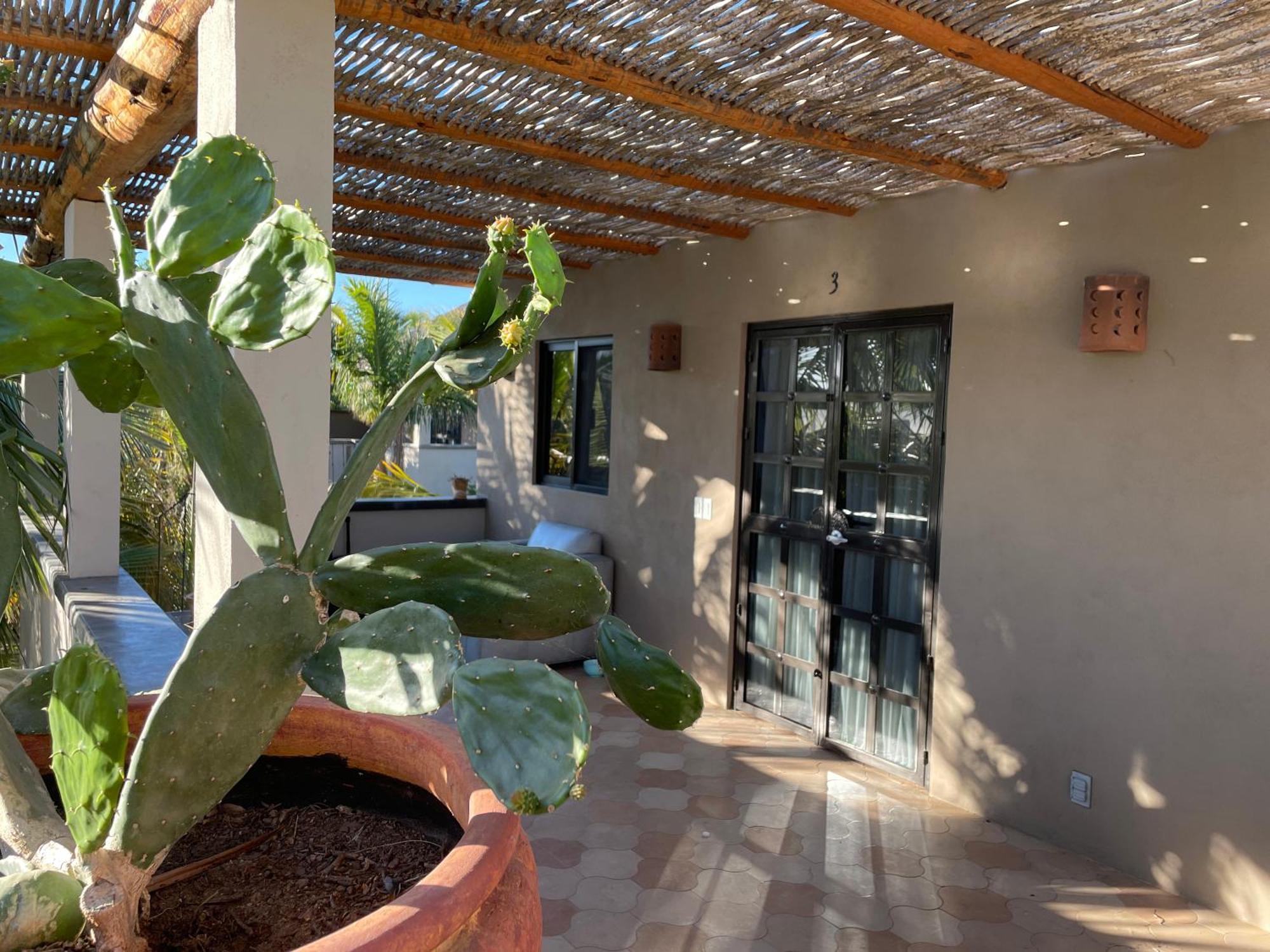Pure Baja Private Suites-Upscale Property With Infinity Pool And Lush Gardens El Pescadero  Exterior foto